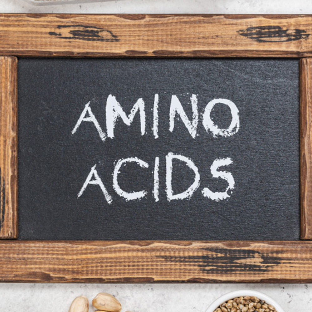Какво трябва да знаем за аминокиселините